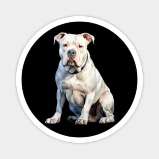 American Bulldog Magnet